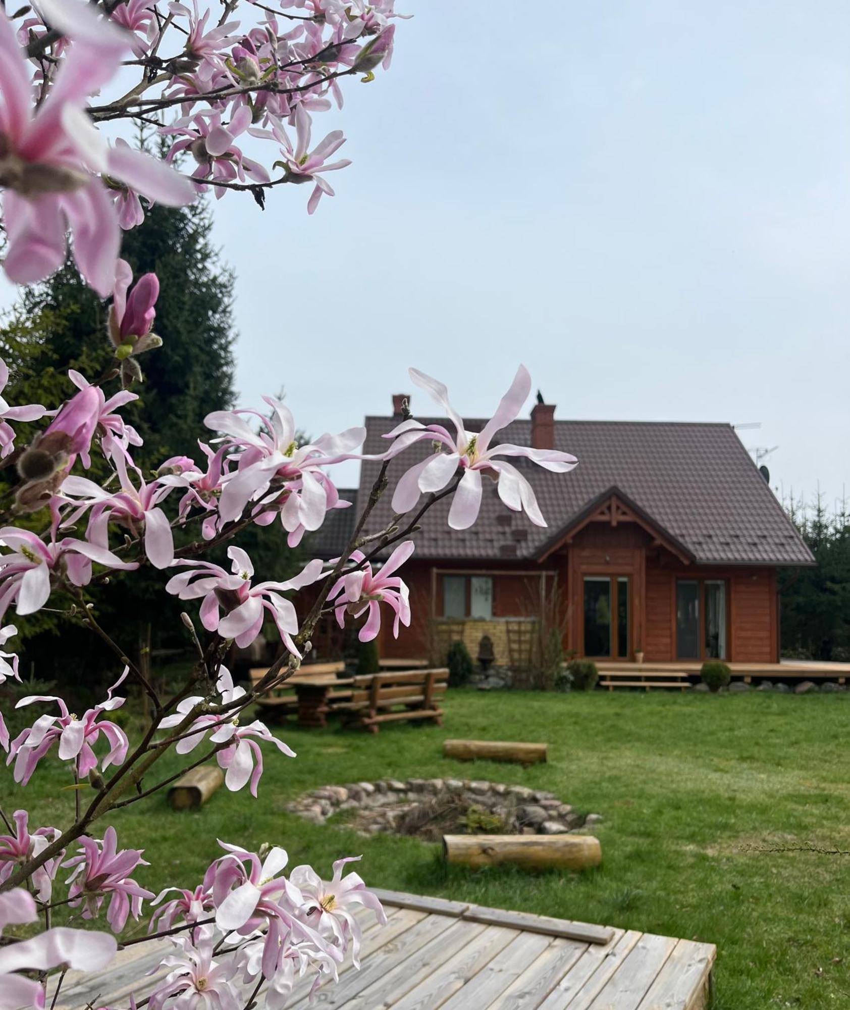 Drewniany Dom W Cudownej Okolicy "Twoja Ostoja" Brusy Exterior foto